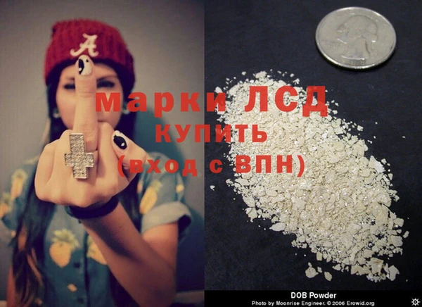 эйфоретик Аркадак